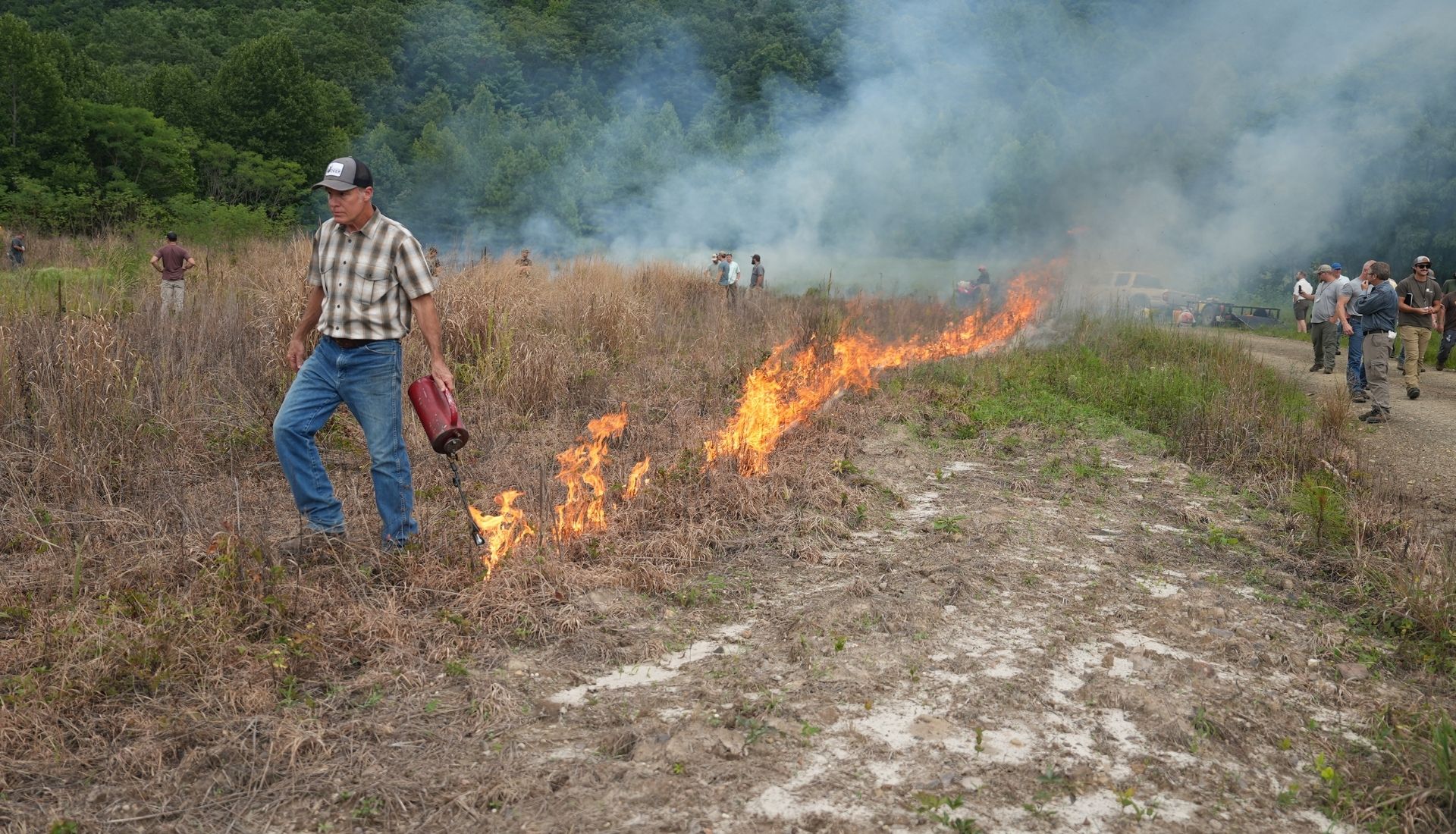 Habitat Management